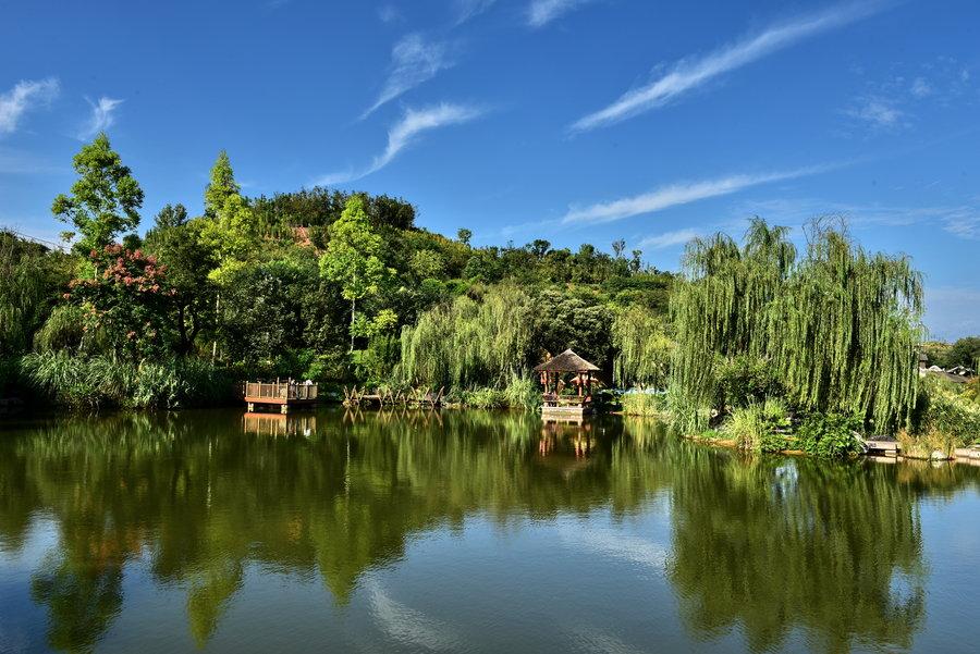 1623998621800391.jpg 成都五鳳溪.jpg