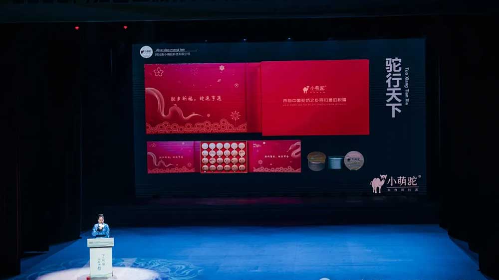 2025旅行商大會(huì)暨文化旅游資源推介洽談會(huì)現(xiàn)場推介.jpg